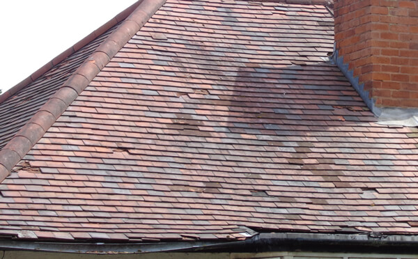 Our team ready to help