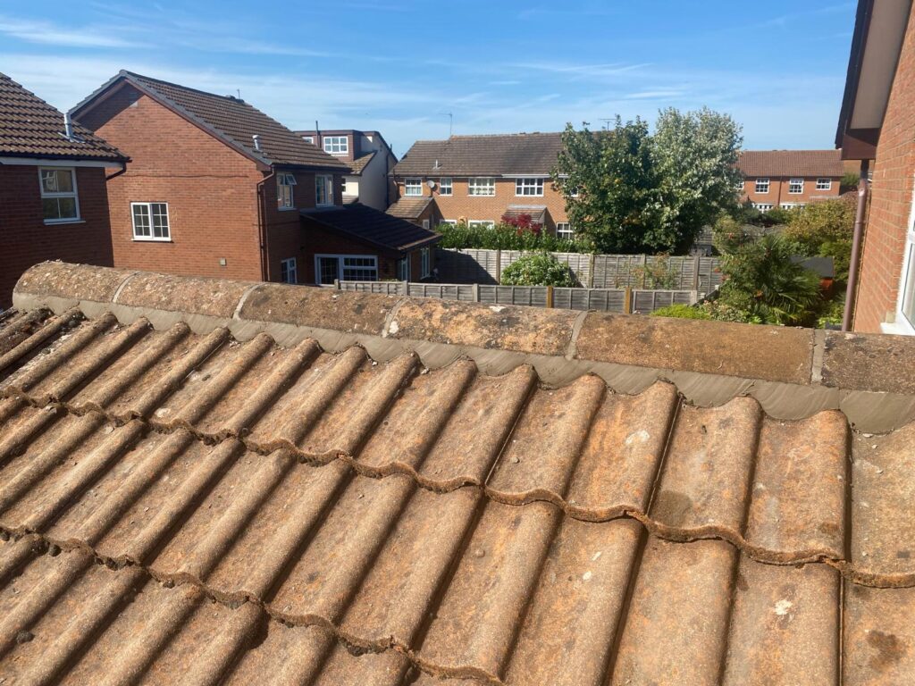 General Roof Health Checks